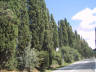 Click for 800x600 intermediate-size image